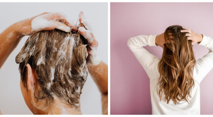 Pettinare i capelli quando sono bagnati è sbagliato? Scopri qualche trucco utile per una chioma perfetta