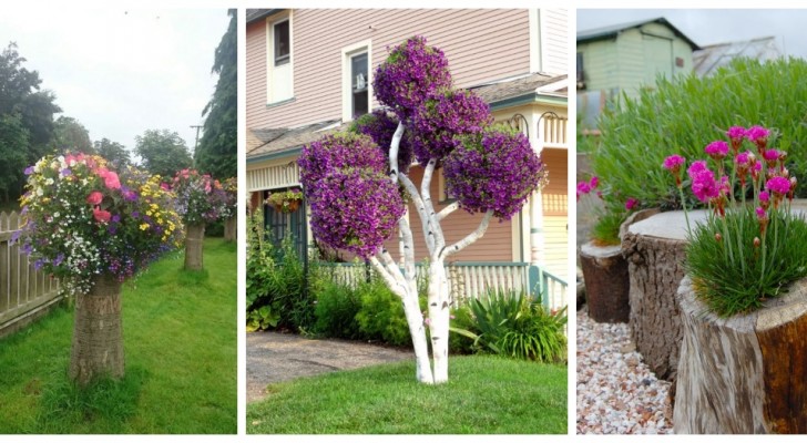 Hai un tronco di albero abbattuto in giardino? Trasformalo in una scultura di fiori