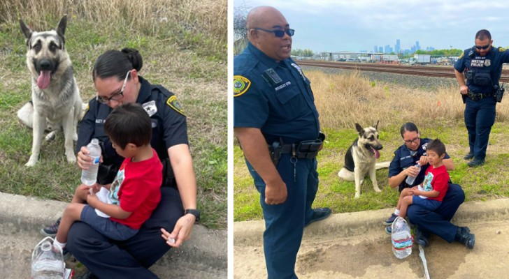 Ze vinden een 5-jarige jongen met het syndroom van Down die verdwaald was: zijn hond beschermde hem de hele tijd