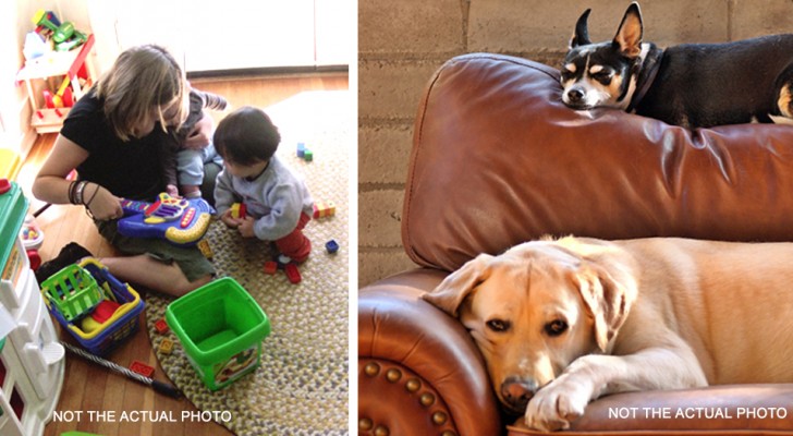 Chiede alla sorella di rinunciare al lavoro per farle da babysitter: "i miei figli sono più importanti dei tuoi cani"