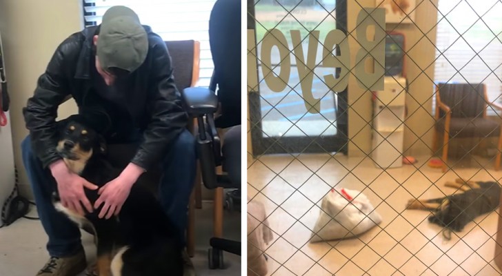 17-year-old homeless man leaves his dog in a shelter, but thanks to strangers, he manages to embrace him again