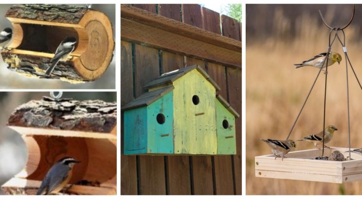 Vogelhuisjes en voederbakjes: probeer ze zelf te maken met leuke DIY-projecten!