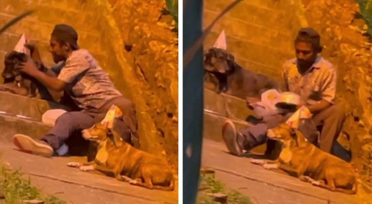Homeless young man is filmed celebrating his dogs' birthday: they are his only family