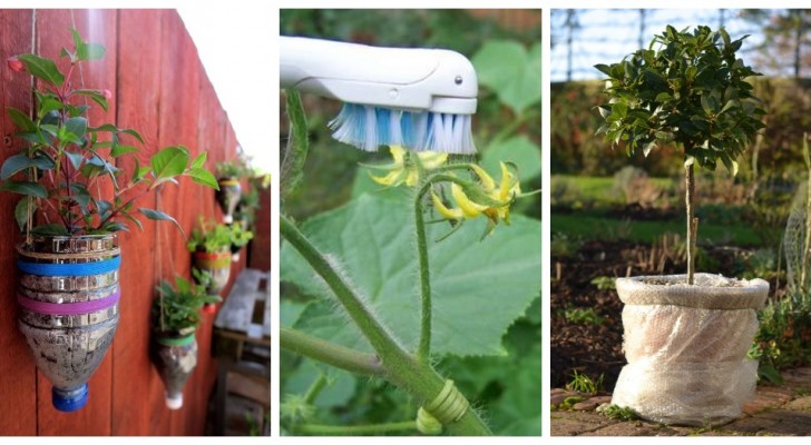 Tuinieren zonder kosten: ontdek welke alledaagse voorwerpen je kunt recyclen om je planten te verzorgen