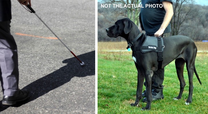 Un bar si rifiuta di far entrare un uomo cieco a causa del cane guida "troppo grande": scoppia la polemica