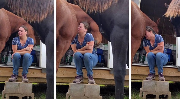 Depressed by her recent divorce, a woman bursts into tears: her horse "hugs" and comforts her