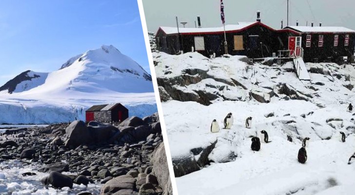 Le bureau de poste le plus reculé du monde recrute : les candidats s'occuperont également des pingouins (+VIDEO)