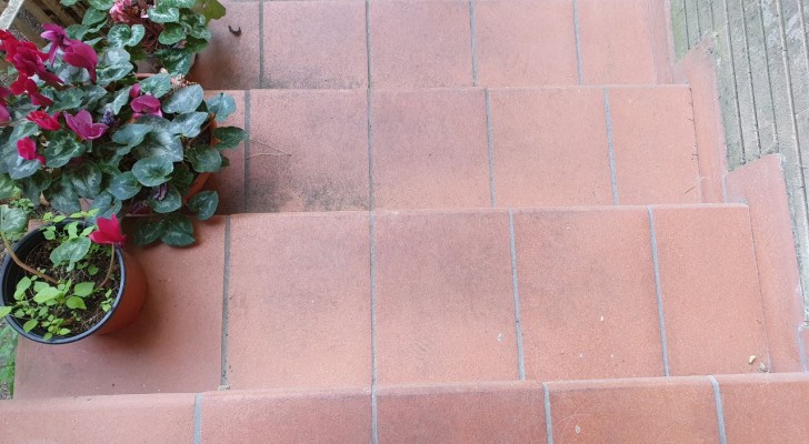 Haben Sie Terrakotta-Böden in Ihrem Garten? Finden Sie heraus, wie Sie sie reinigen können, ohne sie zu ruinieren
