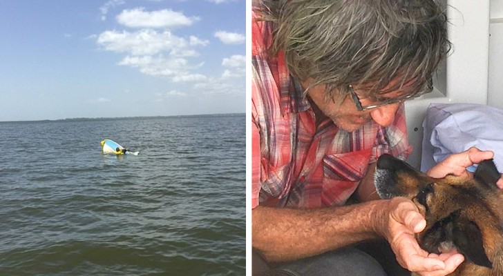 Un pastore tedesco salva il padrone dopo che la sua barca è affondata: resiste 11 ore in mare aperto