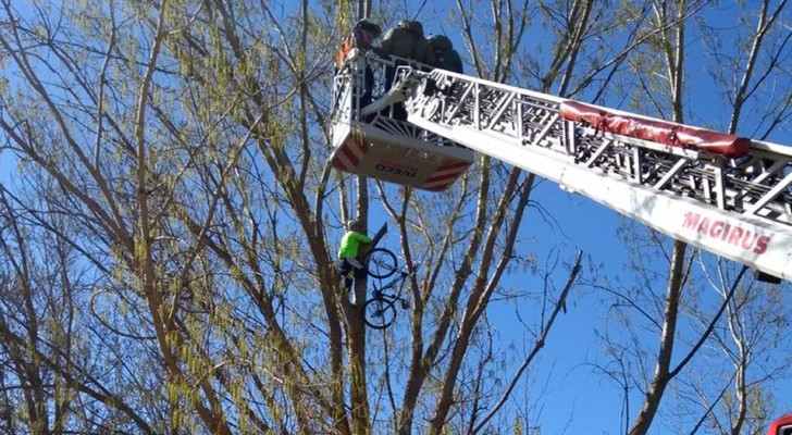 Ze zien een fietser in de takken van een boom in een park: 