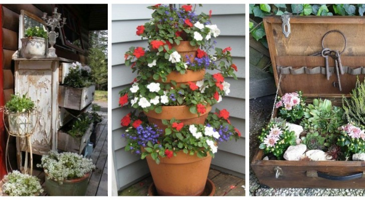 Blommor och växter vid ingången till huset för att välkomna gäster med stil: några idéer att kopiera