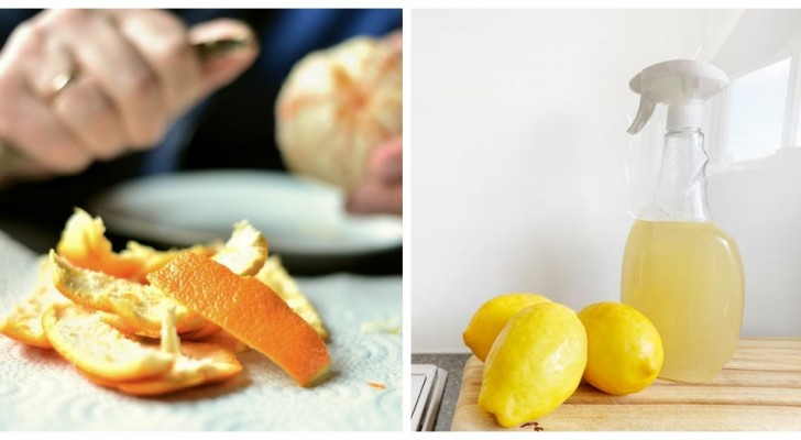 Användbara köksrester till trädgården: använd citron- eller apelsinskal på många naturliga sätt!