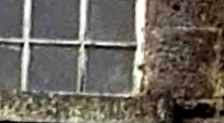 Un team del paranormale scatta una foto a un vecchio ospedale psichiatrico: c'è un bambino alla finestra