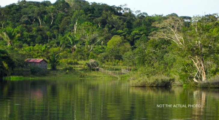 Oud netwerk van verloren steden in de Amazone ontdekt: nieuws dat de geschiedenis verandert