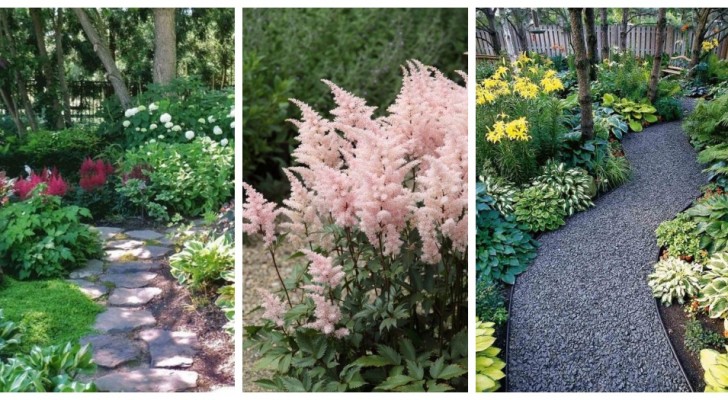 Shaded gardens: 10 ideas for setting up green spaces to fall in love with