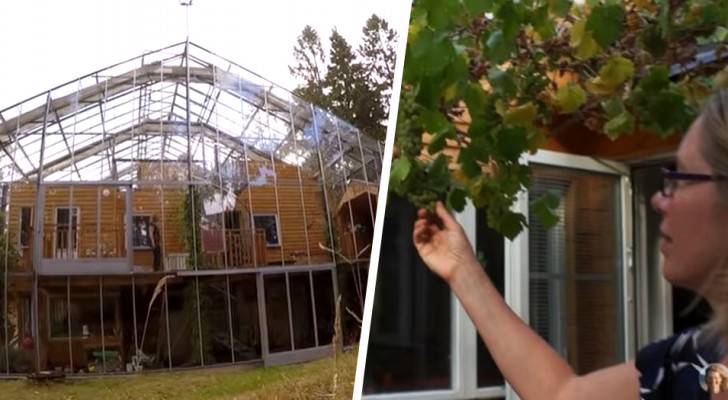 Costruiscono una serra gigante intorno alla casa: "ci teniamo al caldo, coltiviamo cibo e risparmiamo tanto"