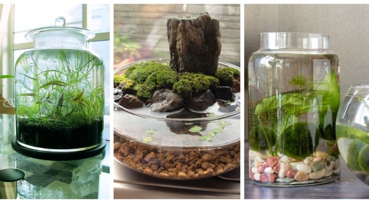 Een miniatuur watertuin als tafeldecoratie: 9 geweldige ideeën om je te inspireren