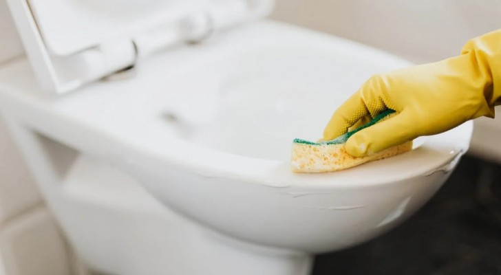 Igiene e pulizia per il WC: aiutati con della semplice acqua ossigenata