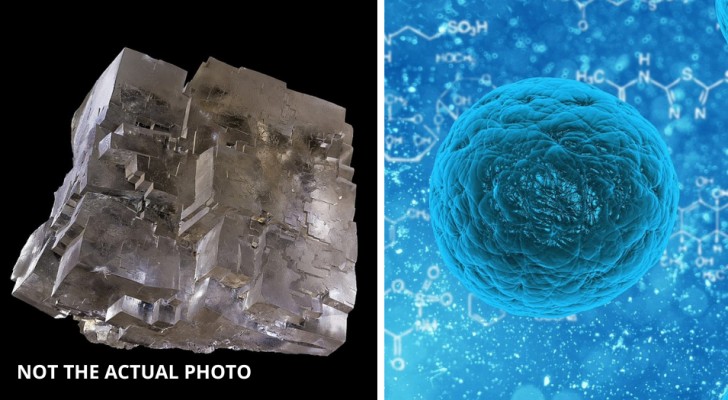 Det har upptäckts en 830 år miljoner gammal kristall som innehåller en form av okänt förhistoriskt liv