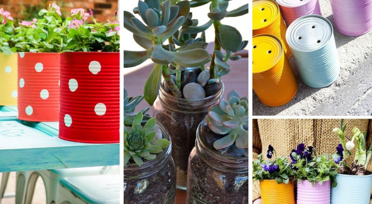 Glazen potten en blikken: gebruik ze opnieuw om er prachtige plantjes in te plaatsen