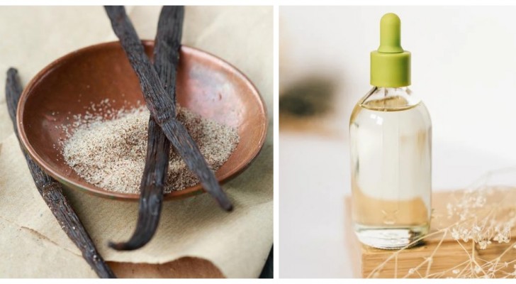 Parfum à la vanille DIY : découvrez comment le préparer facilement à la maison 