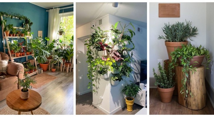 Usa le piante in casa per allestire degli incantevoli angoli verdi