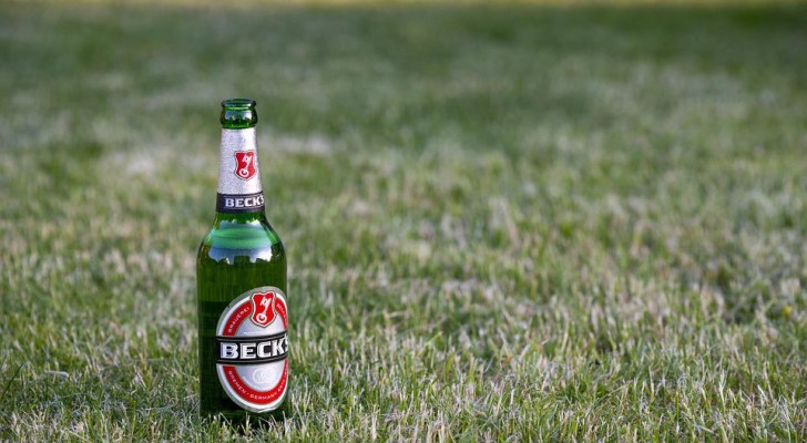 Birra per il giardino: scopri come usarla per prenderti cura del tuo angolo verde