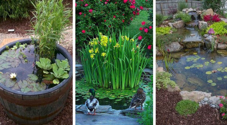 Teich im Garten: 5 Vorschläge, um den Außenbereich in eine Oase der Ruhe und Entspannung zu verwandeln
