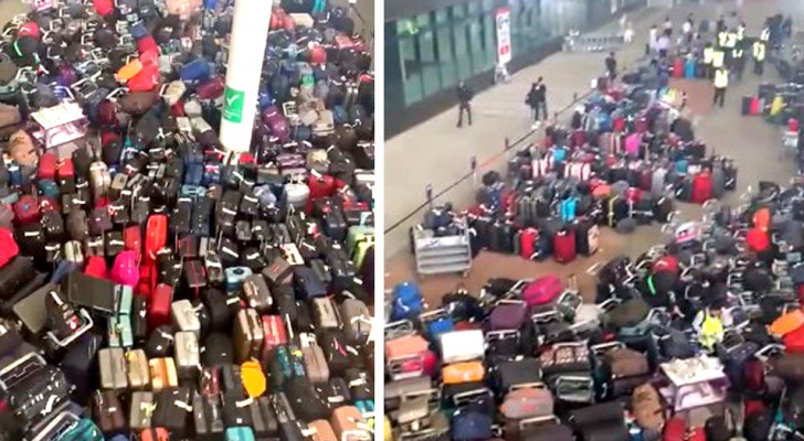 Talloze reizigers stonden voor een berg koffers om die van henzelf te vinden (+ VIDEO)