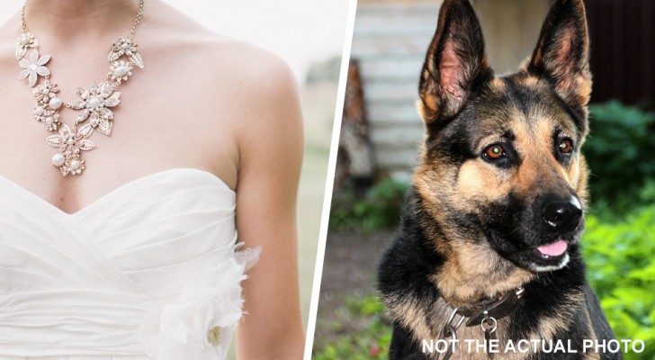 Sposa chiede al cognato di non portare il cane al matrimonio: lui ignora la richiesta e viene cacciato