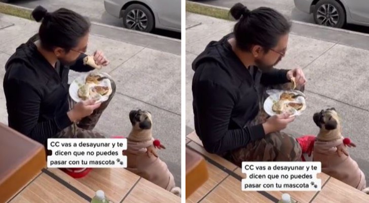 Ragazzo mangia per strada per non lasciare solo il suo cane: il ristorante gli aveva vietato di entrare