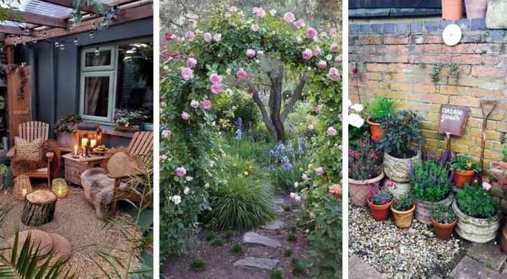 8 idées pour transformer le jardin à l'arrière de la maison en coin paradisiaque