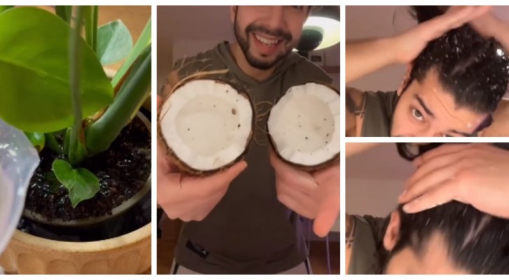 Una noce di cocco per prenderti cura dei tuoi capelli e delle piante: scopri come usarla, con TikTok