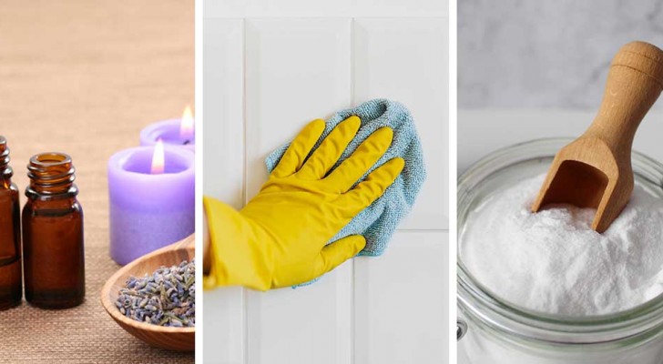 6 metodi naturali per eliminare definitivamente muffa e sporcizia dalle pareti di casa