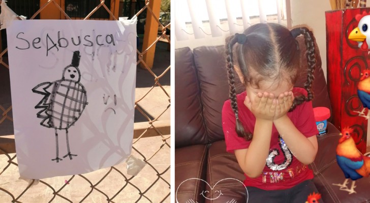 Distraught little girl cannot find her favorite hen and draws a lost poster: the web is moved