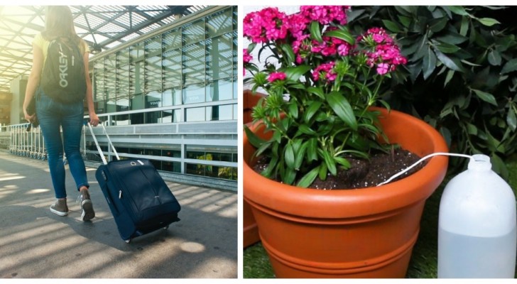 5 nützliche Tipps für die Bewässerung von Pflanzen im Urlaub
