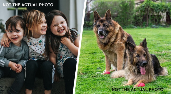 Uncle asks his nephews and nieces not to bring chocolate into the house for the sake of his dogs: they break the rules