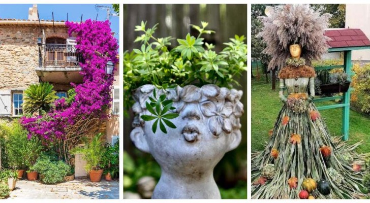 Leidenschaft für den Garten: 11 erstaunliche kreative Projekte auf Facebook geteilt