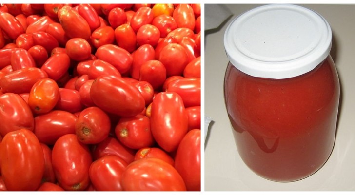 Hausgemachtes Tomatenpüree: das einfache Rezept mit dem Geschmack der Tradition