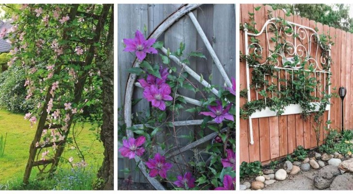 Tralicci da giardino: 8 fantastiche decorazioni fai-da-te con vecchi oggetti e materiali facili da reperire