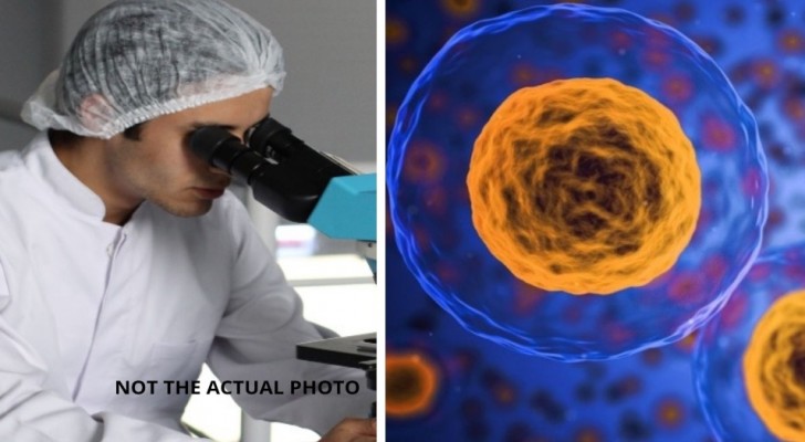 Anti-tumör nanopartiklar som bekämpar cancer från insidan har utvecklats utan användning av droger