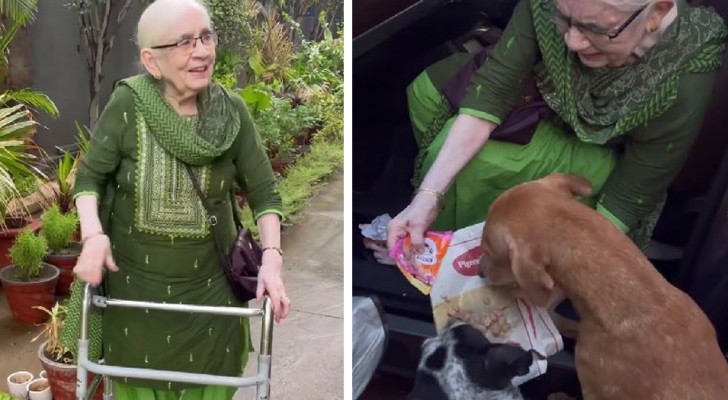 Vid 90-års ålder matar den här kvinnan 120 gatuhundar varje morgon: 