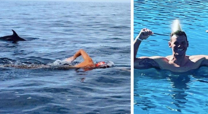 Den här simmaren höll på att bli attackerad av en haj, men delfinerna skyddade honom