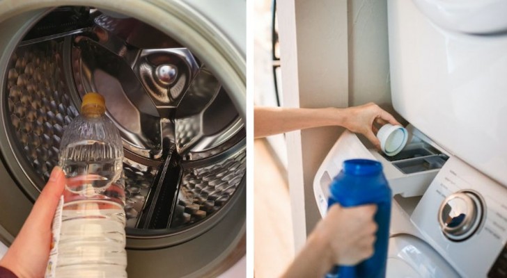 Tadellose Waschmaschine mit Essig: einfache Tipps, um sie sauber zu halten