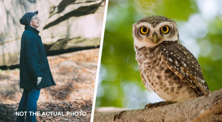 Every day an owl visits a 98-year-old woman and everyone believes it is her late husband reincarnated