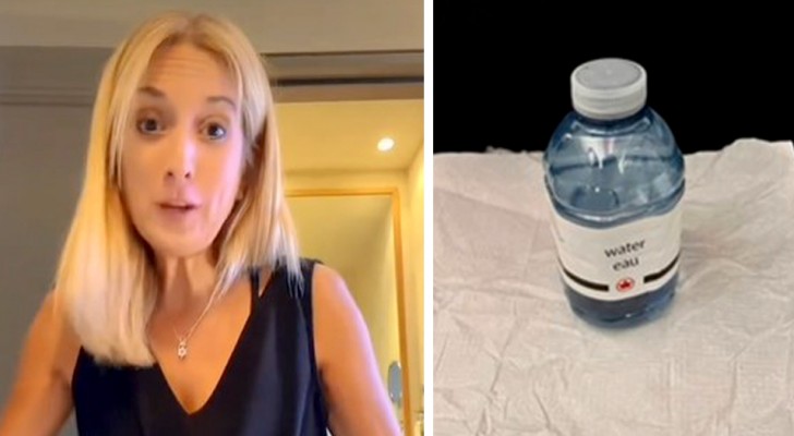 Ze vraagt ​​om een ​​veganistische maaltijd tijdens de vlucht: ze brengen haar een fles water en een servet