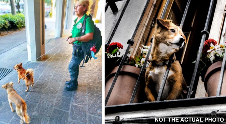 Husägare åker på semester och lämnar två hundar på balkongen utan varken vatten eller mat så grannarna larmar polisen