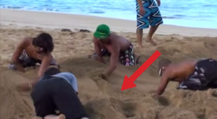 They start to dig in the sand: what they're about to do leaves everyone speechless!