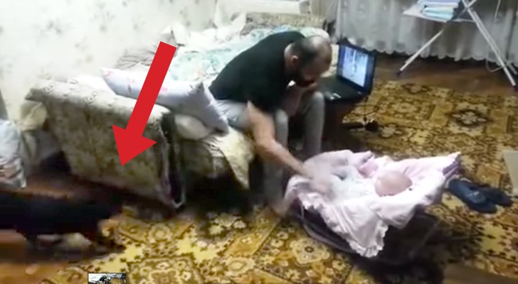 Een man doet alsof hij de baby mishandeld... Kijk naar de reactie van de kat!!!