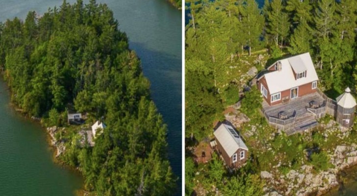 Une gigantesque île privée à vendre : elle coûte autant qu'un appartement en ville